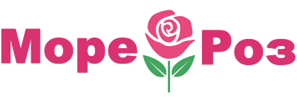 Цветочный магазин more-rose.ru Цветочный магазин more-rose.ru