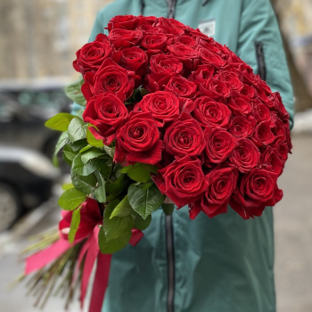 51 красная роза Premium 60 см.