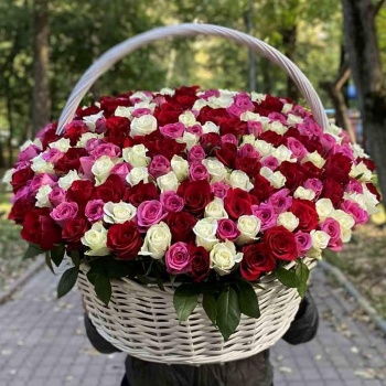 301 роза яркий Микс в корзине
