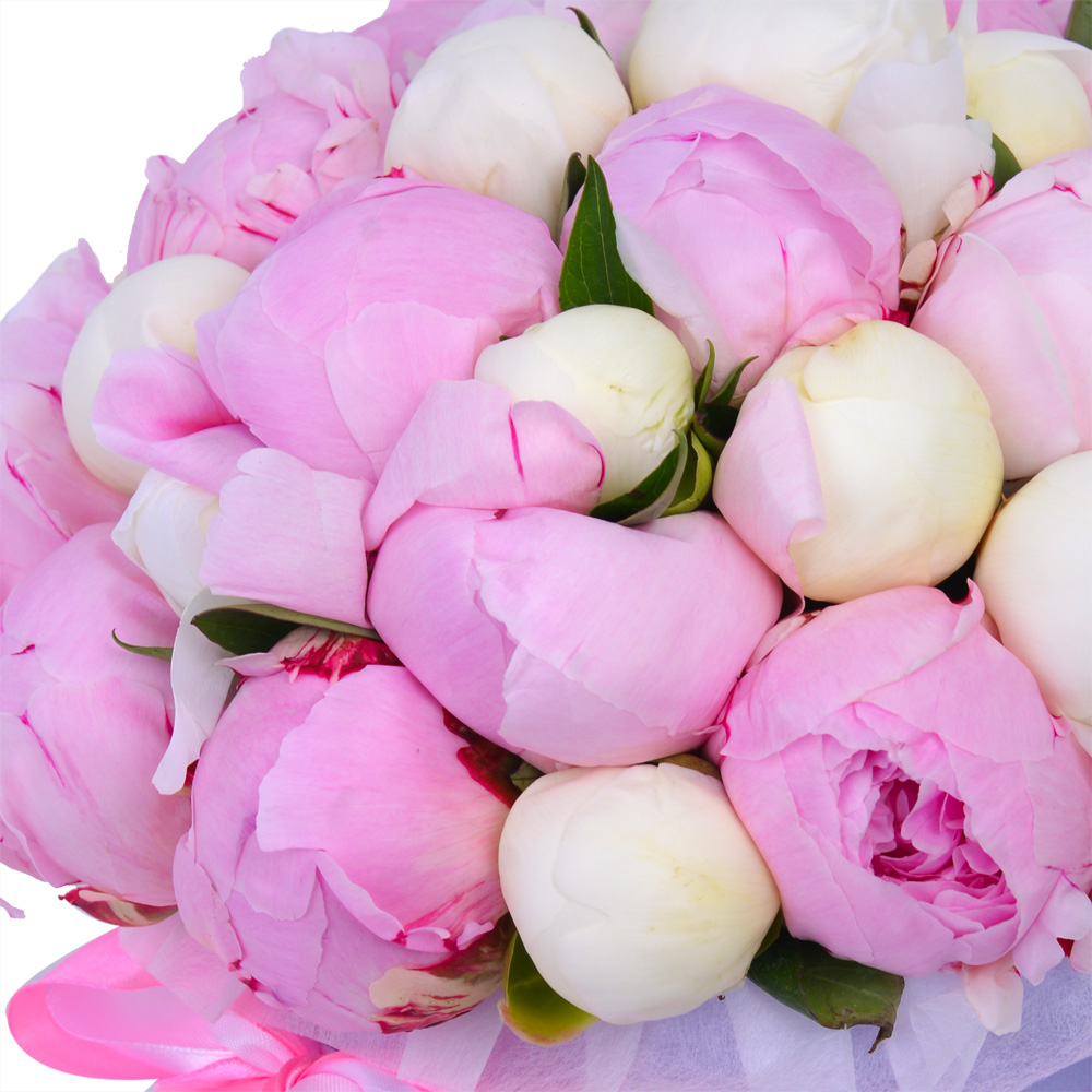 Букет из 35 разноцветных пионов в фиолетовой шляпной коробке