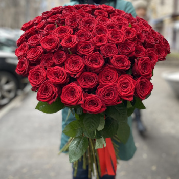 101 красная роза Эквадор 70 см