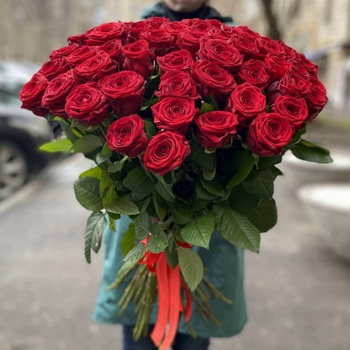 51 красная роза Premium 70 см.