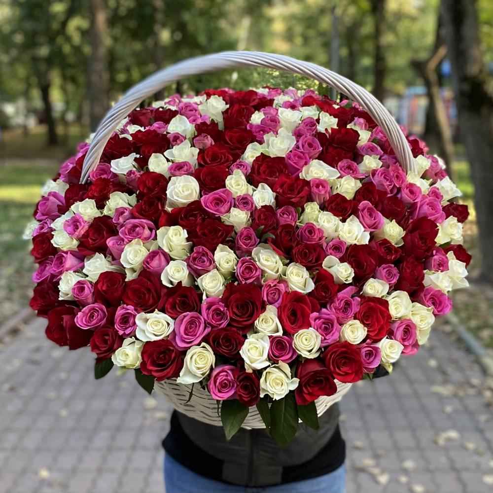 301 роза яркий Микс в корзине