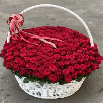 301 красная роза в корзине