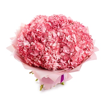 Букет из 25 розовых гортензий
