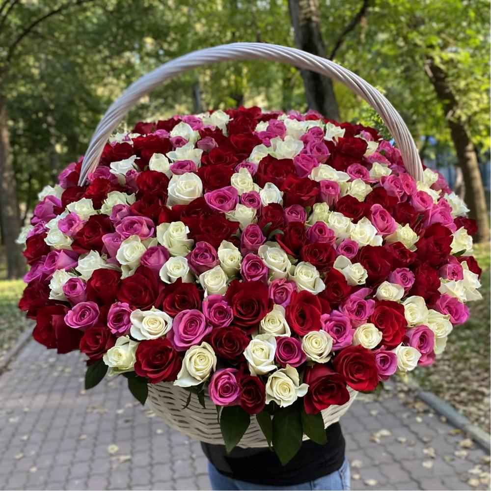 301 роза яркий Микс в корзине