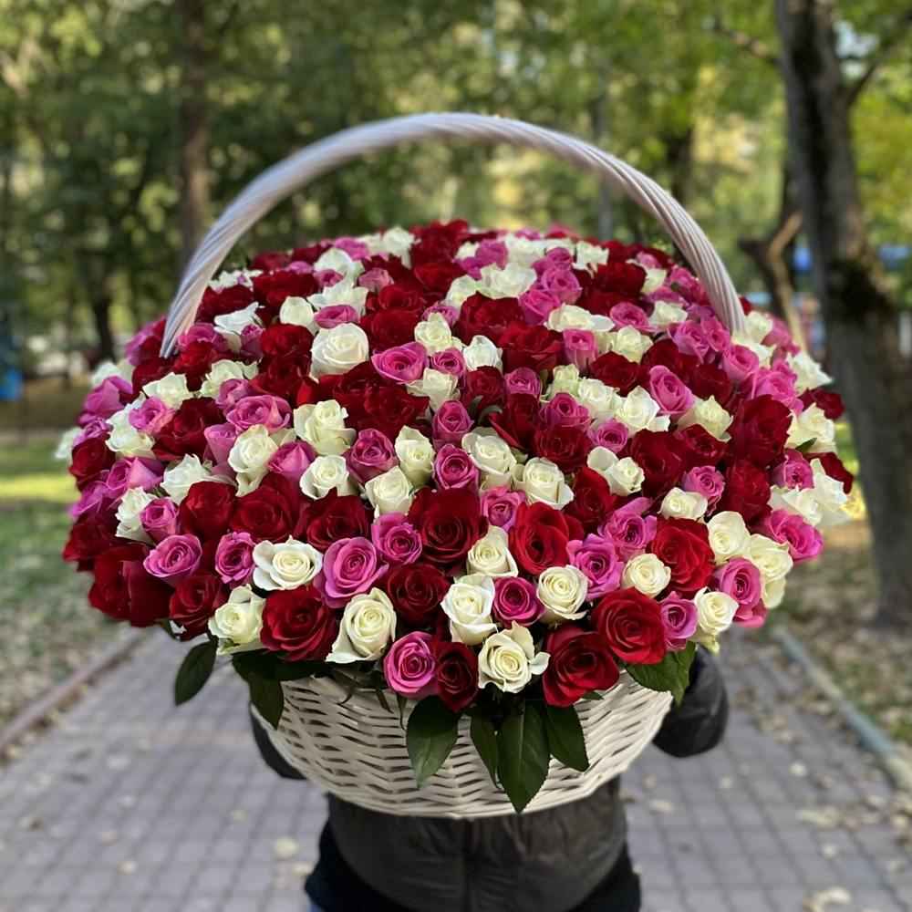 301 роза яркий Микс в корзине
