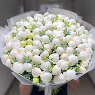 Букет из 101 белого пиона