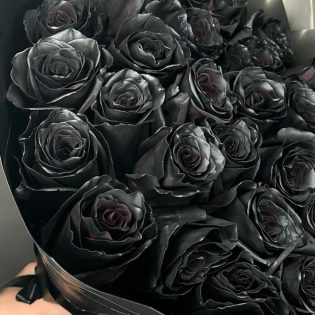 Букет из 23 чёрных роз Premium Эквадор
