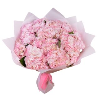 15 розовых гортензий